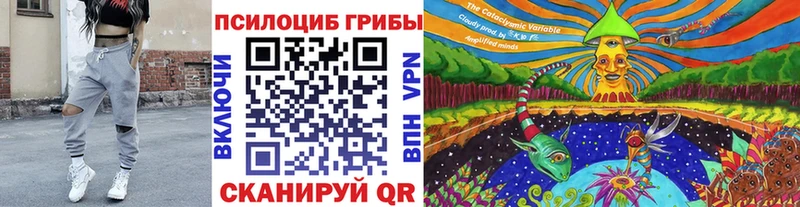 Псилоцибиновые грибы мицелий  Купить закладки  Кяхта 